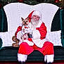 santa_claus, dog, christmas_tree, christmas_decorations, red_suit, white_fur_trim, glasses, green_couch, knitted_blanket, pillows, festive, holiday, pet, costume, smiling, indoor, portrait, celebration, red_carpet, winter
