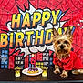 Prince is registered to the contest to win money with this photo: dog, birthday, donut, candle, table, red_shirt, happy_birthday, comic_style, backdrop, celebration, pet, small_dog, star_lights, number_candle, indoor, festive, portrait, cute, party, animal