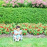 Keshav joined the competition — help win amazing prizes! child, toddler, baby, sitting, garden, flowers, flower_bed, red_flowers, pink_flowers, greenery, hedge, grass, outdoors, park, chair, portrait, blossoms, nature, sunlight, landscape