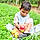 Keshav
