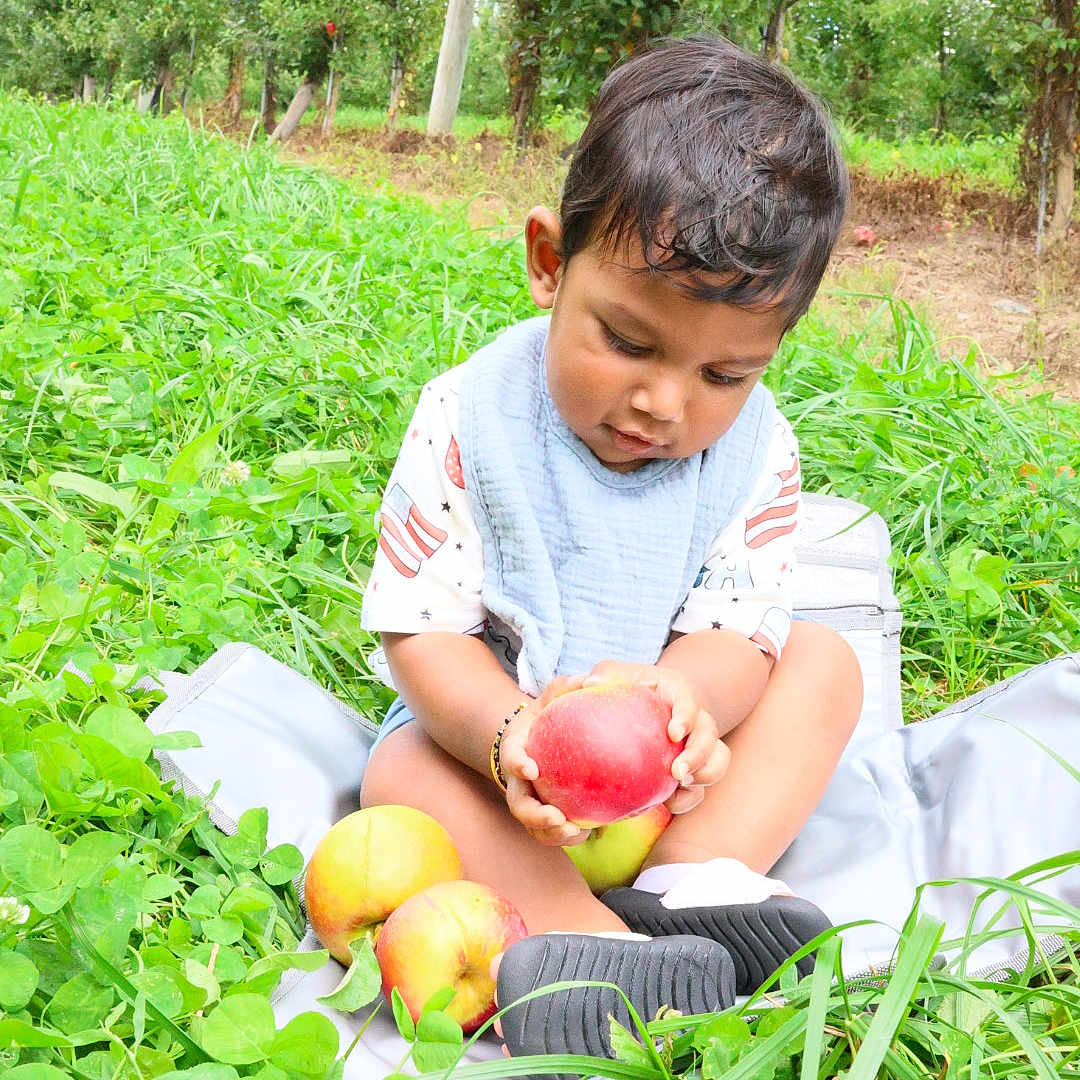 Keshav