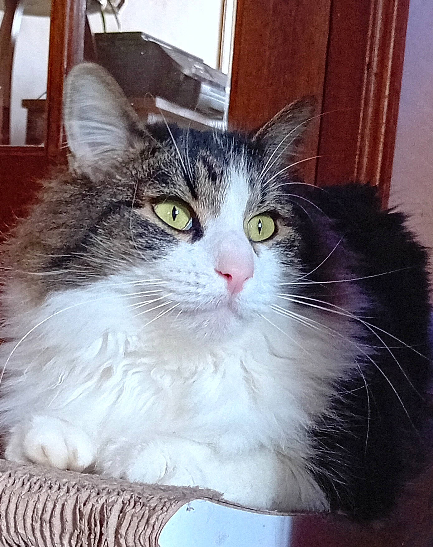Charly