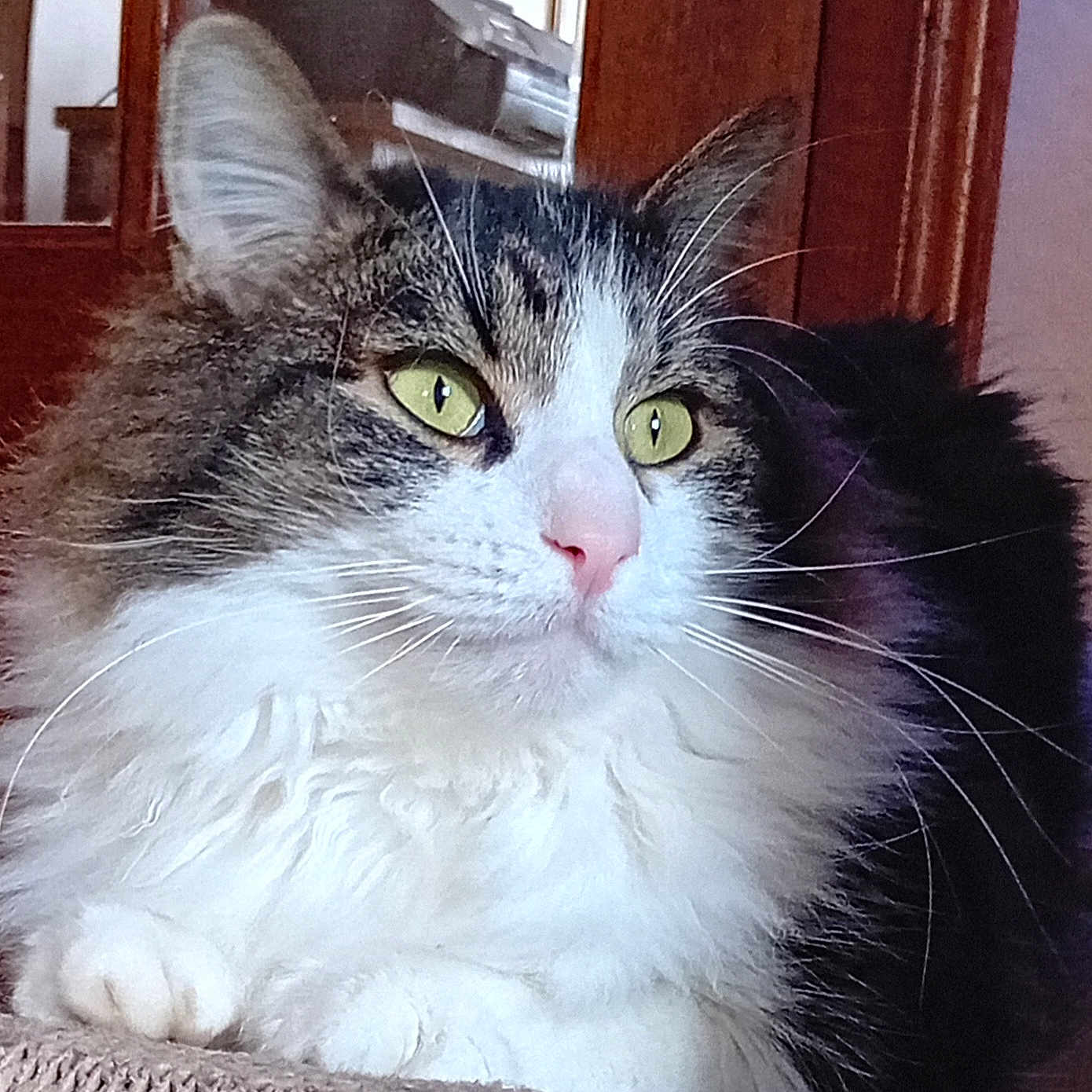 Charly