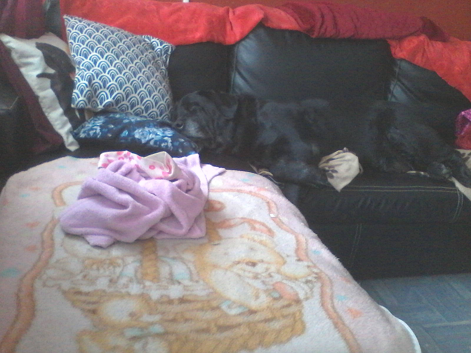 Axel participe au concours pour gagner de l'argent avec cette photo : bed_sheet, bedding, couch, cushion, dress, flower, fur, furniture, interior_design, linens, pillow, pink, plant, room, textile