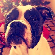 Bella is registered to the contest to win money with this photo: