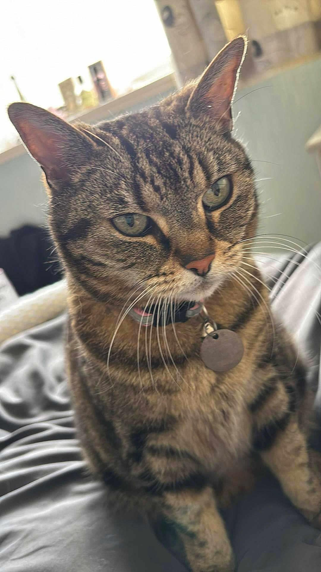 Lila