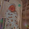newborn, baby, swaddled, hospital_bassinet, blanket, hat, sleeping, infant, baby_care, pacifier, baby_products, striped_blanket, hospital, portrait, cute, resting, indoors, cozy, soft_lighting, peaceful