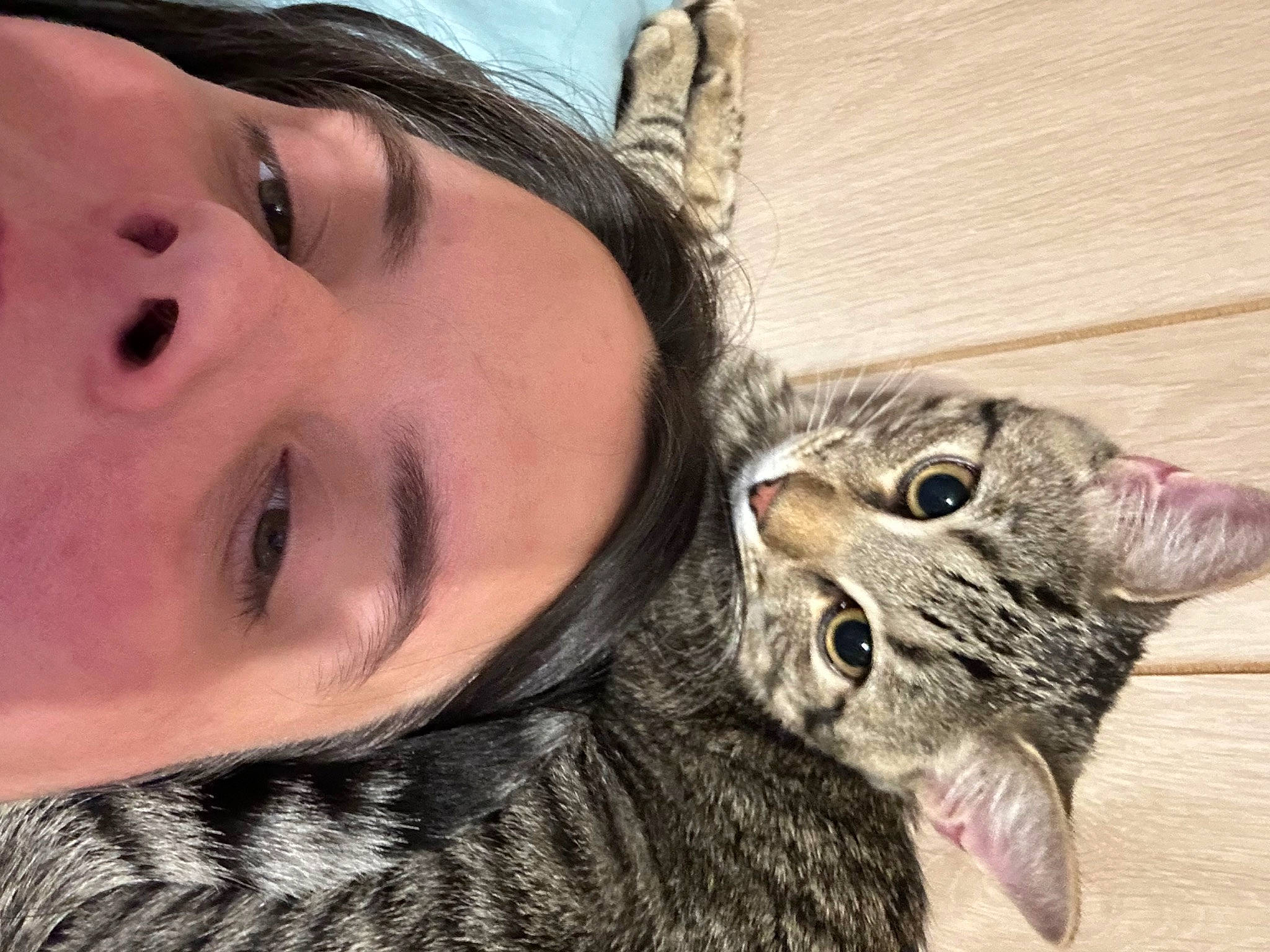 Picasso Dell Bowling is registered to the contest to win money with this photo: carnivore, cat, close_up, cool, ear, eye, eyelash, felidae, happy, head, jaw, lip, mouth, nose, selfie, skin, small_to_medium_sized_cats, smile, snout, whiskers