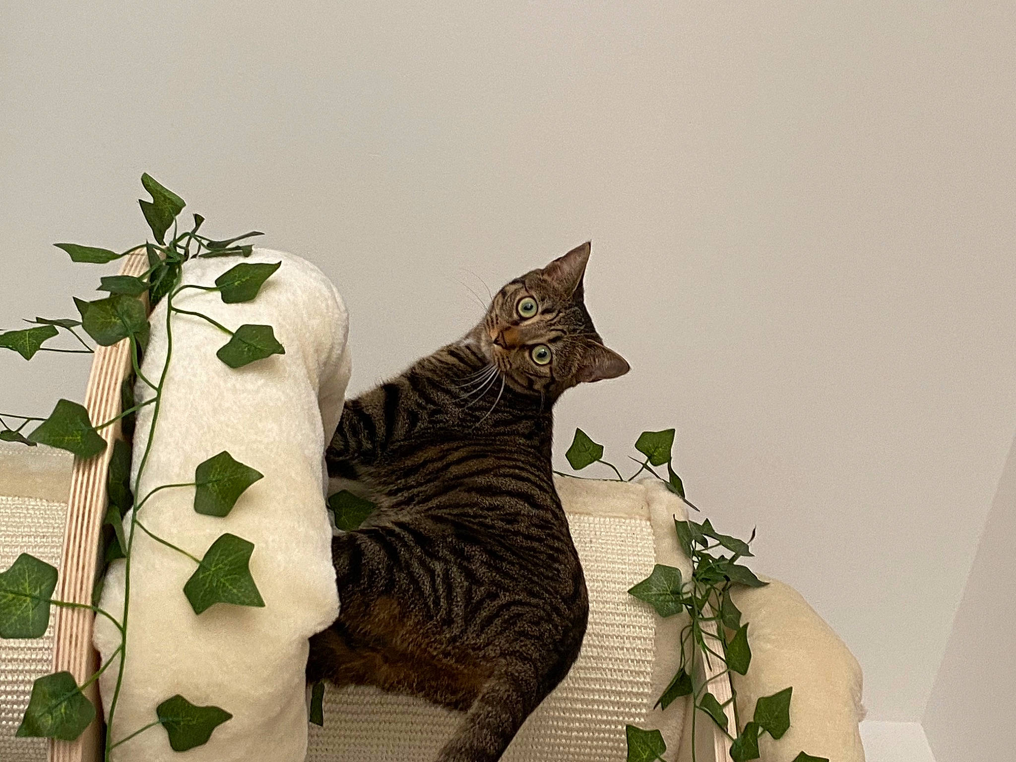 Foxy participe au concours pour gagner de l'argent avec cette photo : art, carnivore, cat, domestic_short_haired_cat, fawn, felidae, herb, metal, pattern, plant, sculpture, small_to_medium_sized_cats, tail, terrestrial_animal, terrestrial_plant, tree, twig, whiskers, wildlife, wood