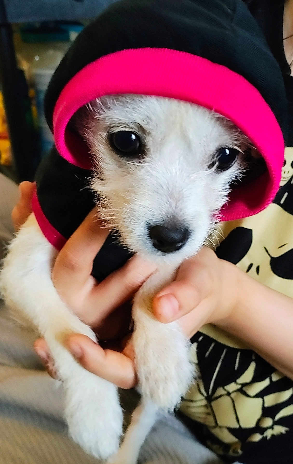 Bella