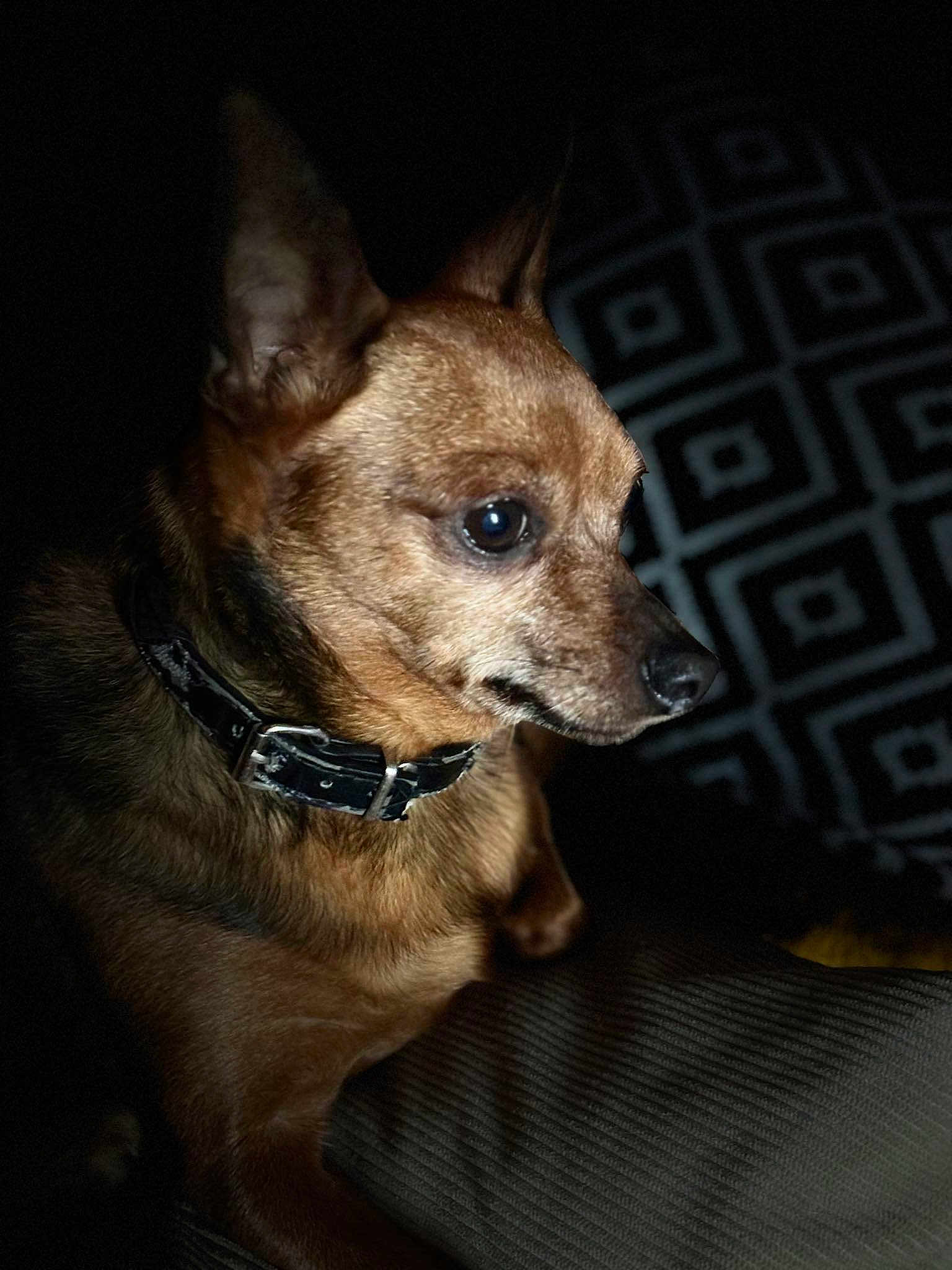 Lola