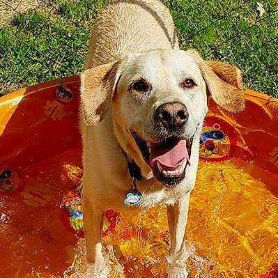 Jersey joined the competition — help win amazing prizes!