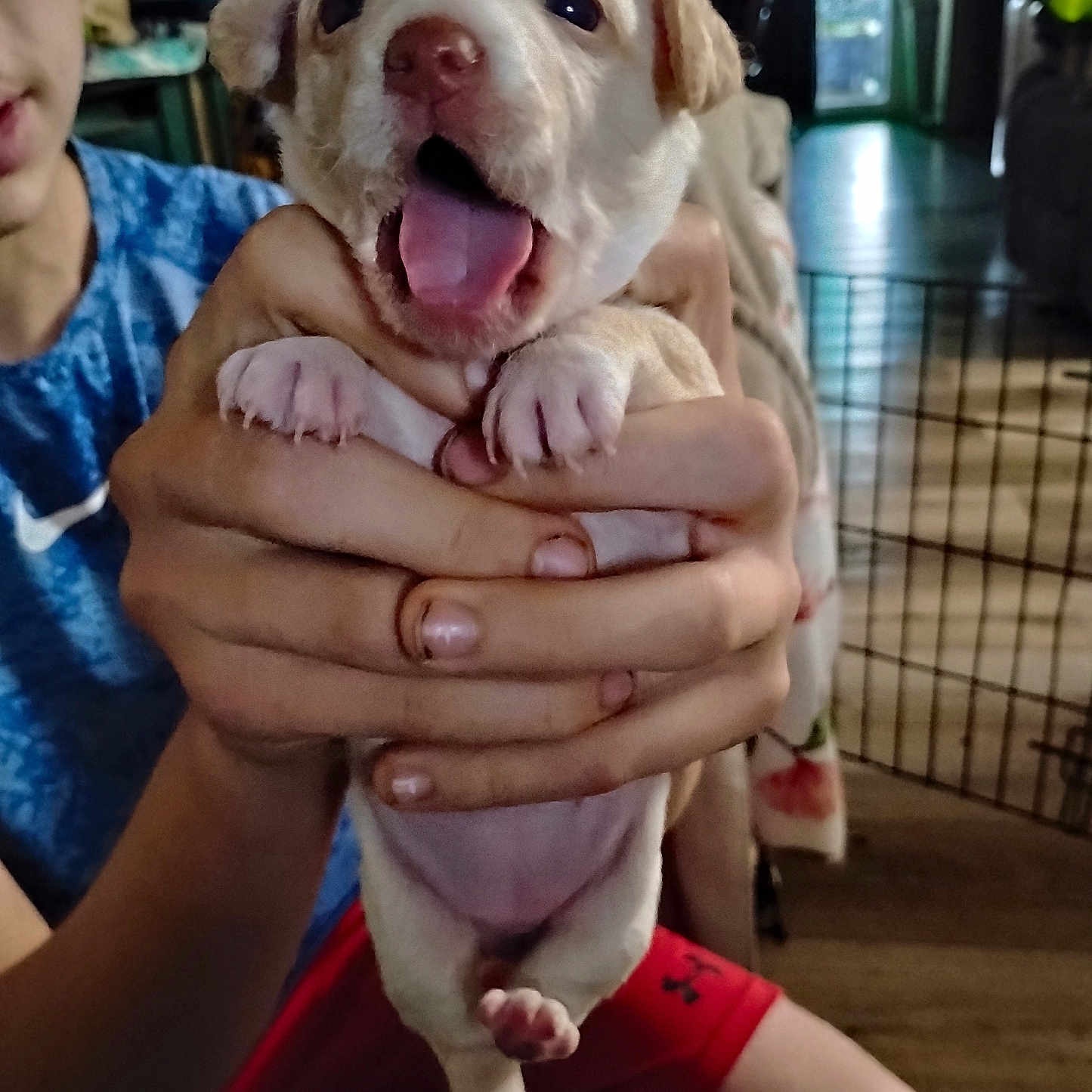 Precious