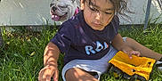 Izayah joined the competition — help win amazing prizes! child, grass, toy_truck, dog, french_bulldog, outdoor, sunlight, shadow, wall, greenery, playing, casual_clothing, shorts, tshirt, shoe, pet, summer, nature, happy_dog, curly_hair