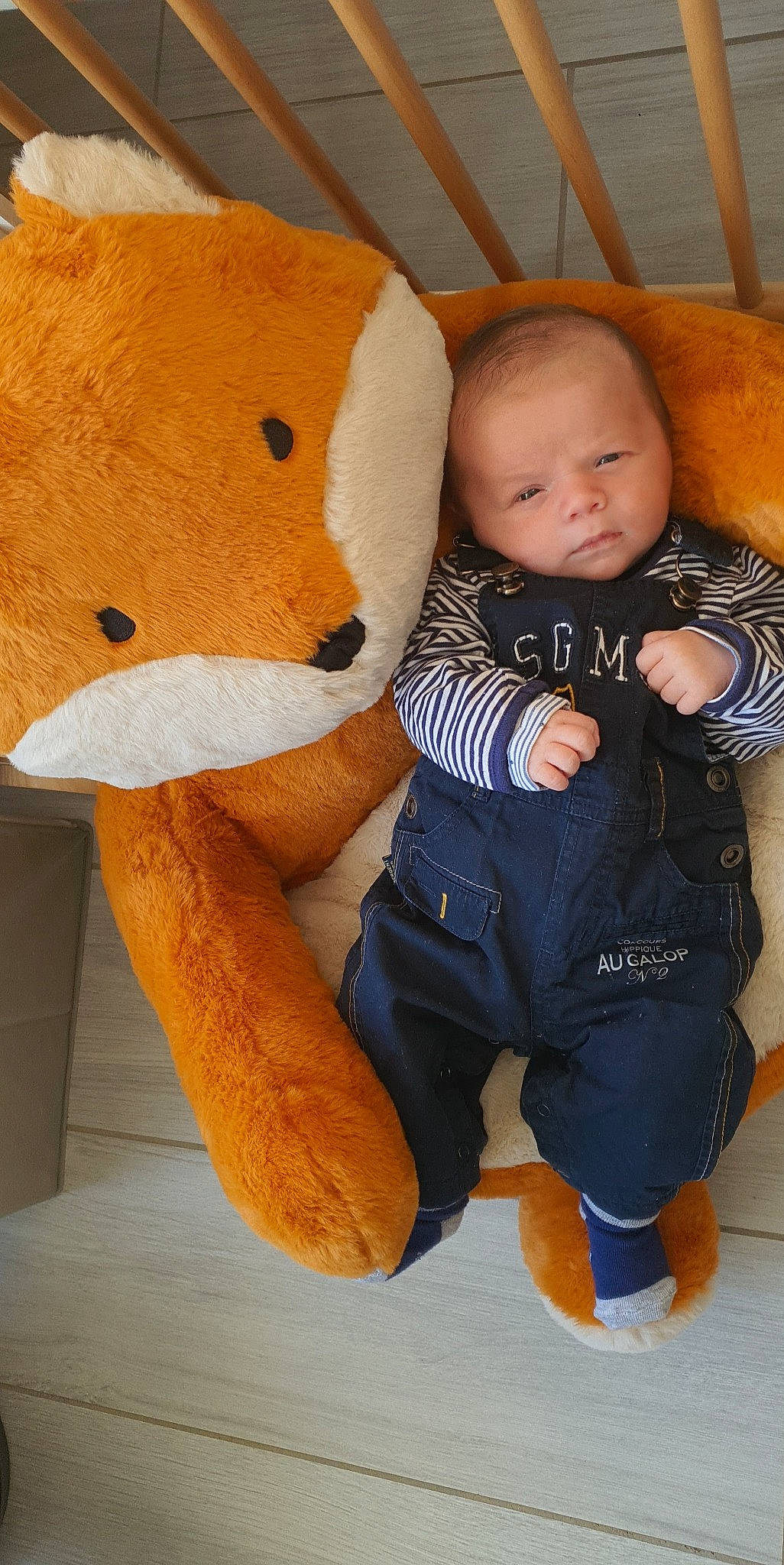 Axel participe au concours pour gagner de l'argent avec cette photo : abdomen, baby, baby_toddler_clothing, child, comfort, foot, fur, happy, nose, orange, person, plush, skin, sleeve, stuffed_toy, teddy_bear, textile, toddler, toy, trunk