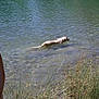 Canel participe au concours pour gagner de l'argent avec cette photo :