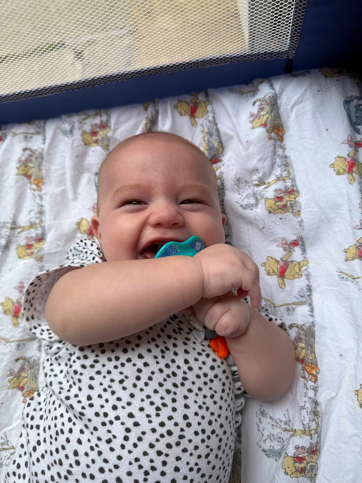 Rayne