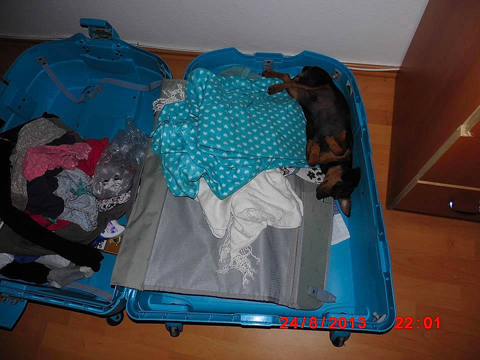 Ioda participe au concours pour gagner de l'argent avec cette photo : blue, product, room, turquoise