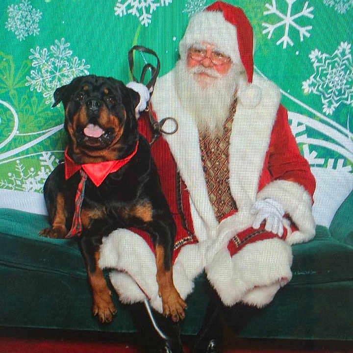 Duke is registered to the contest to win money with this photo: