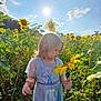 child, sunflower, flower, field, dress, blue_dress, princess, outdoor, sunny, daylight, nature, greenery, plants, flora, sky, sun, portrait, girl, curious, summer