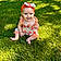 Lilia