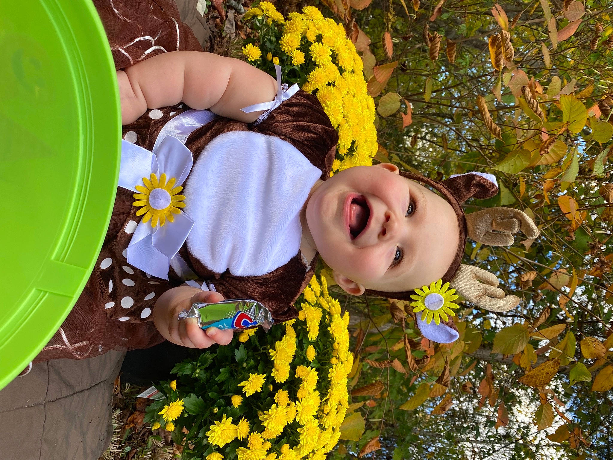 Violet is registered to the contest to win money with this photo: annual_plant, botany, child, flower, flower_arranging, flowering_plant, fun, grass, happy, leaf, leisure, organ, pattern, people_in_nature, person, petal, plant, smile, spring, tree