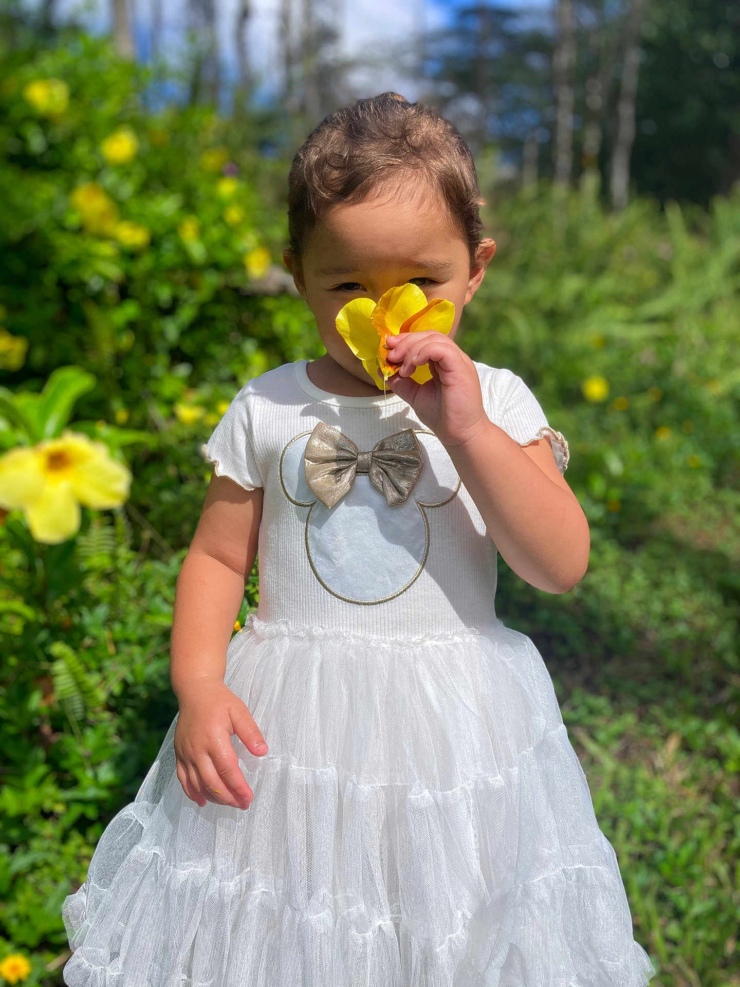 Jayani is registered to the contest to win money with this photo: child, cute, daylight, dress, flower, garden, greenery, happy, nature, outdoor, person, plants, playful, portrait, summer, sunlight, toddler, white_dress, yellow_flower, young_child