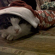 Redbull participe au concours pour gagner de l'argent avec cette photo :