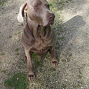 Urax a rejoint le concours — aidez-le/la à gagner de superbes lots !