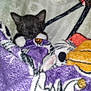 kitten, cat, sleeping, blanket, cozy, furry, paws, cute, indoor, resting, soft, pet, animal, comfort, purple, white, black, napping, warm, closeup