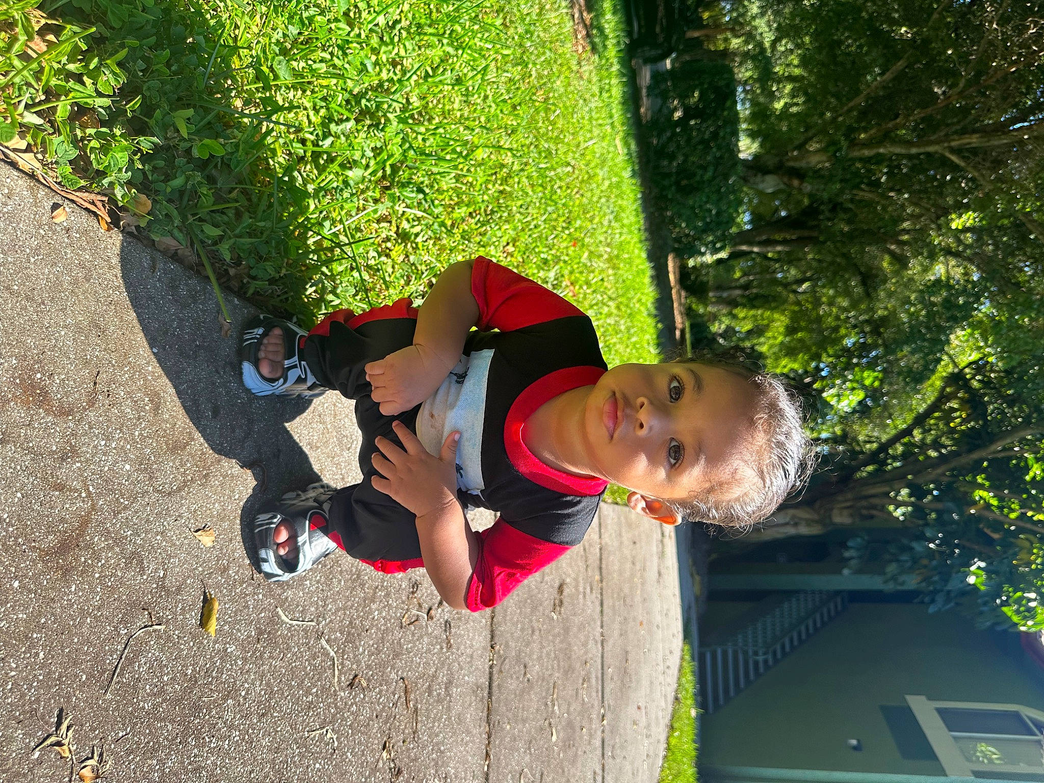 Jeremiah is registered to the contest to win money with this photo: adventure, fun, grass, happy, leisure, people_in_nature, person, plant, recreation, shorts, toddler, tree, walking_shoe, woody_plant