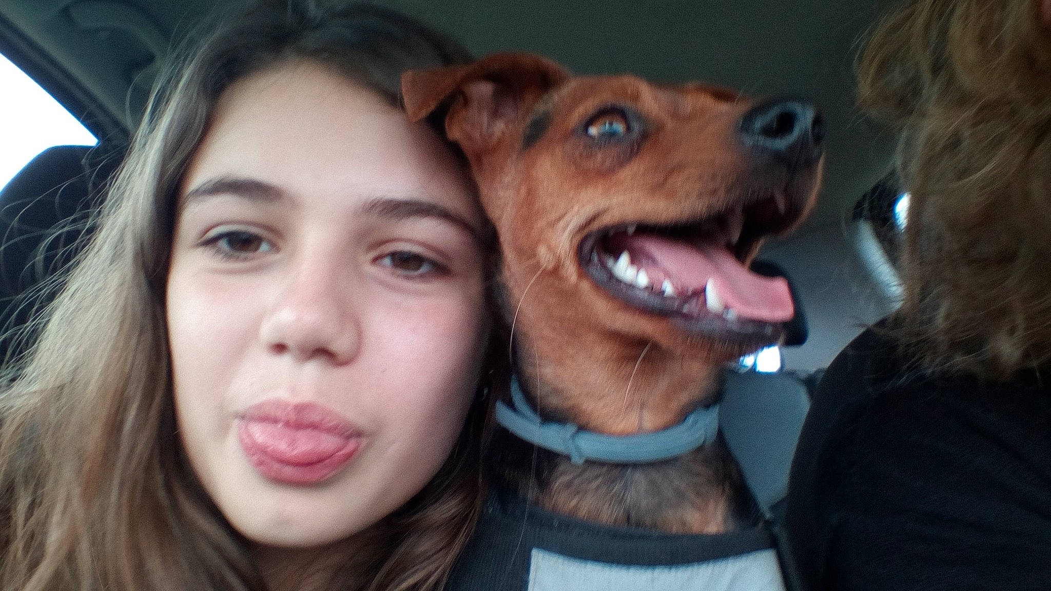 Iris participe au concours pour gagner de l'argent avec cette photo : canidae, carnivore, cheek, companion_dog, dog, dog_breed, face, facial_expression, fun, head, jaw, mouth, nose, person, photography, selfie, skin, smile, snout, sporting_group