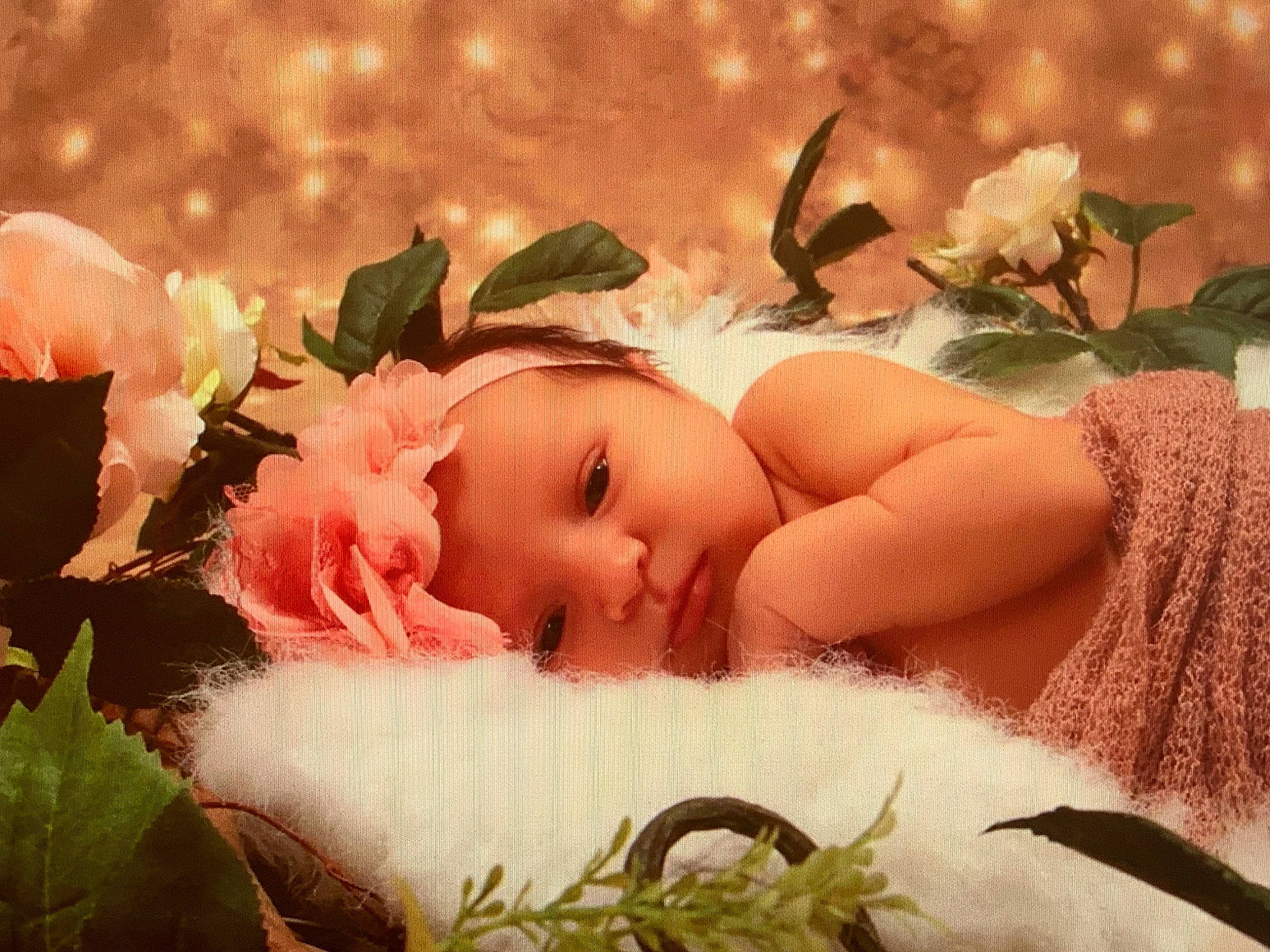 Charlotte is registered to the contest to win money with this photo: baby, beauty, cheek, child, daydream, flower, garden_roses, person, petal, photography, pink, plant, rose, rose_family, skin, smile