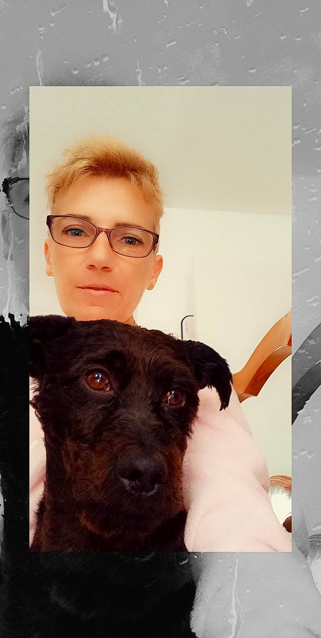 Oreo a rejoint le concours — aidez-le/la à gagner de superbes lots ! carnivore, companion_dog, cool, dog, dog_breed, ear, eye, eyelash, eyewear, fawn, gesture, glasses, happy, jaw, nose, organ, skin, snout, vision_care, working_animal