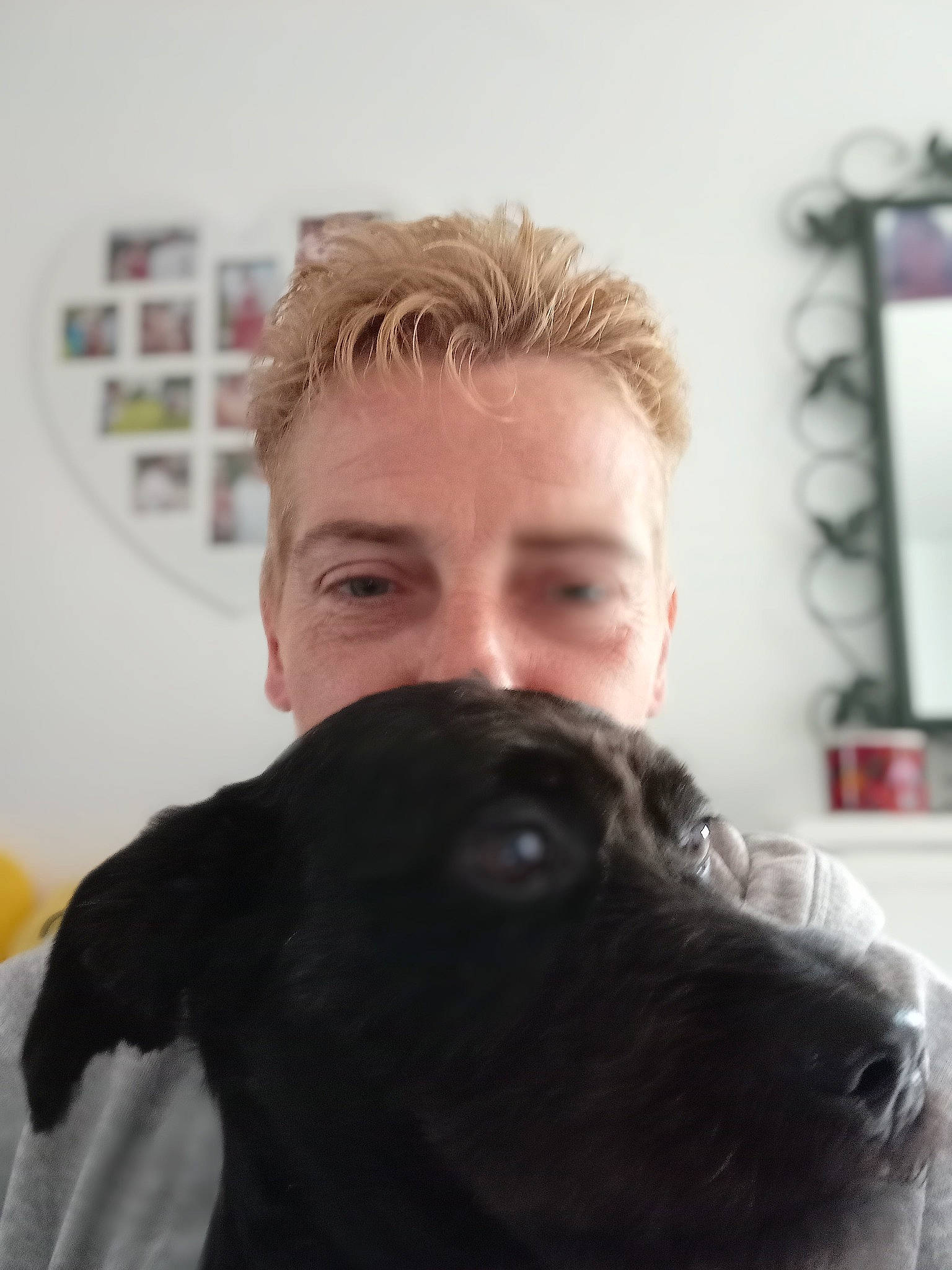 Oreo a rejoint le concours — aidez-le/la à gagner de superbes lots ! beard, canidae, carnivore, cheek, companion_dog, dog, dog_breed, ear, eyelash, facial_hair, fun, fur, gesture, happy, jaw, neck, picture_frame, selfie, snout, sporting_group