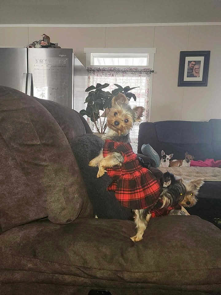 Gigi