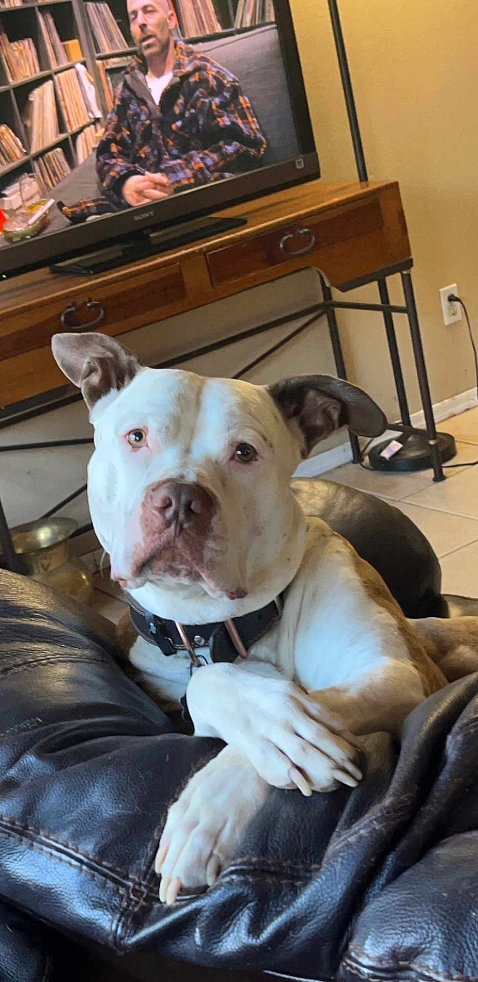 Diesel