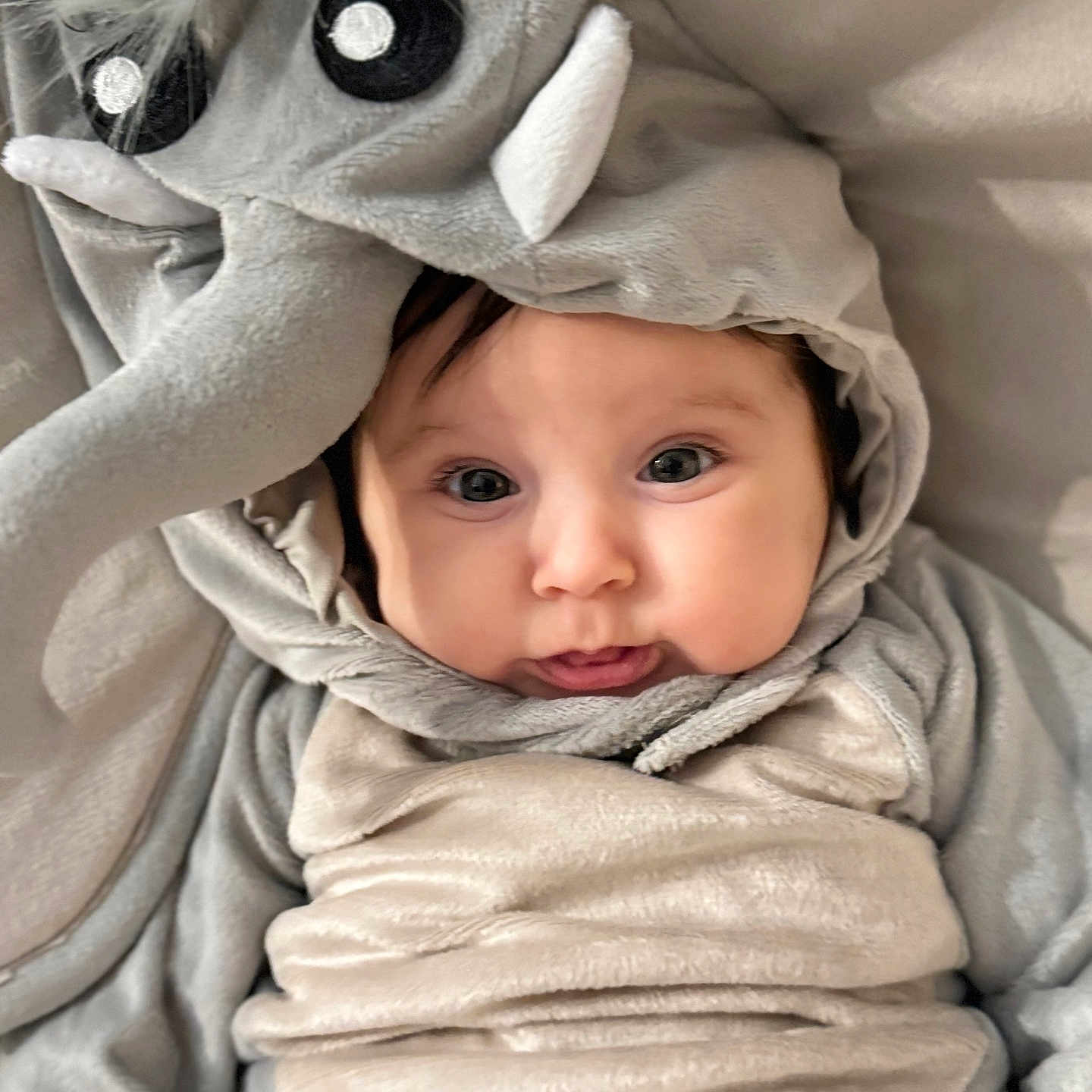 Olivia joined the competition — help win amazing prizes! baby, blanket, face, happy, head, person, photography, portrait, smile