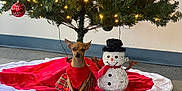 Nugget joined the competition — help win amazing prizes! animal, celebration, christmas_tree, cute, decoration, dog, festive, floor, holiday_decor, indoor, lights, ornament, pet, plush, red_dress, seasonal, small_dog, snowman, tree_skirt, tree_trunk