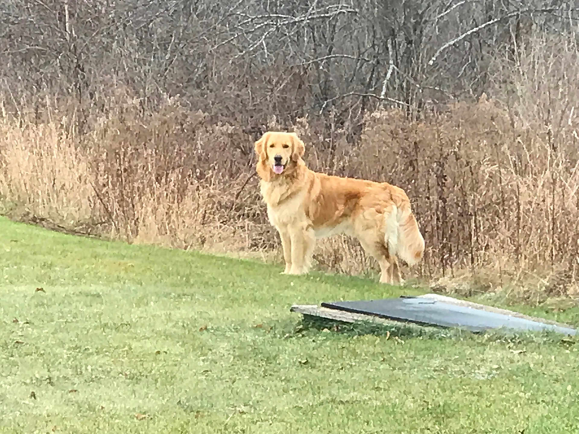 Hunter