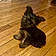 Gizmo