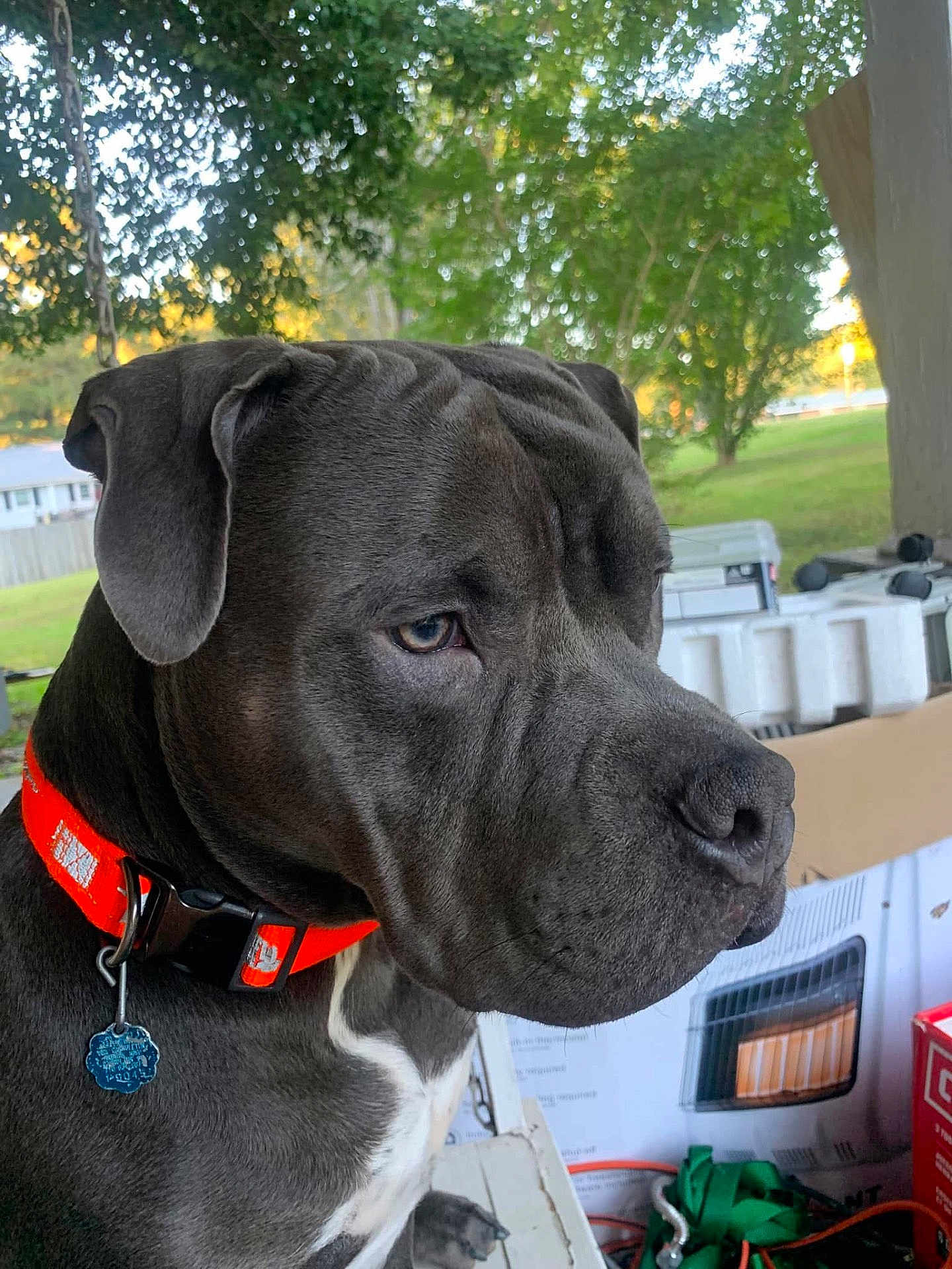 Hercules