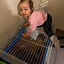 Milena joined the competition — help win amazing prizes! toddler, child, pink_sweater, animal_cage, pet, indoors, curious, climbing, flooring, toy, playful, shadow, wall_socket, pants, sock, animal, hay, wooden_floor, cage_bars, home