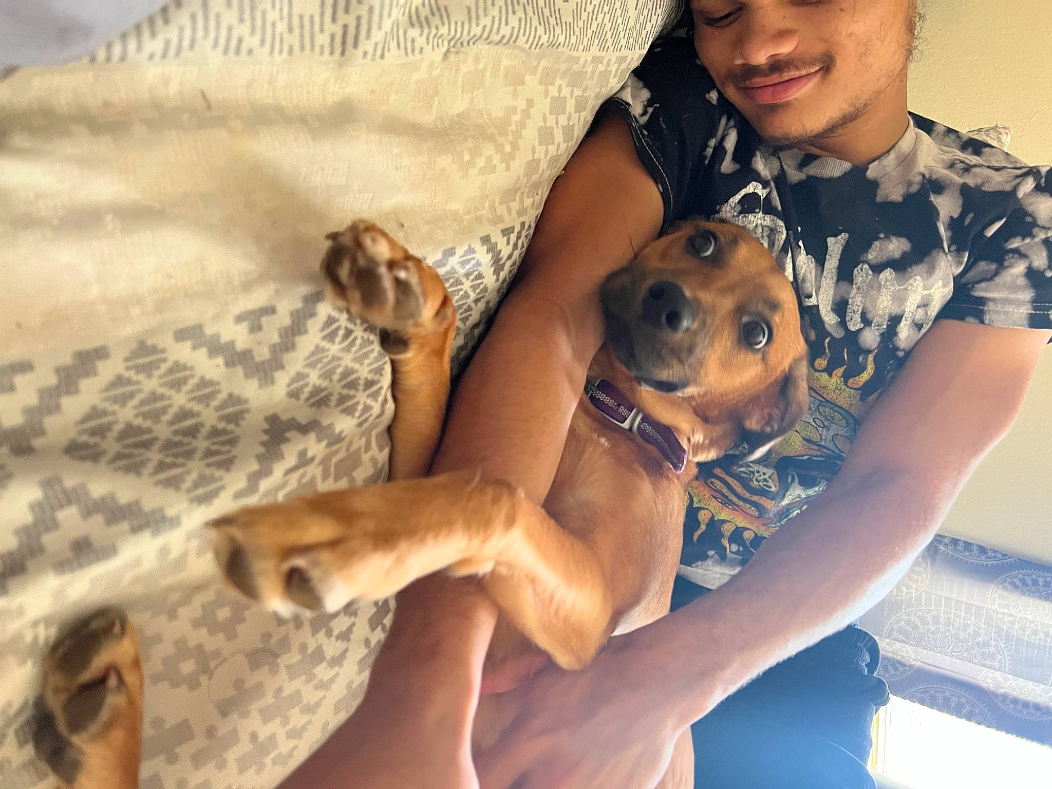 Juno joined the competition — help win amazing prizes! canidae, carnivore, comfort, companion_dog, dog, dog_breed, eyewear, fawn, fun, happy, human_leg, selfie, smile, snout, sporting_group, sunglasses, thigh, toy_dog, trunk, working_animal