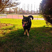 Princesse participe au concours pour gagner de l'argent avec cette photo :