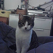 Bandy a rejoint le concours — aidez-le/la à gagner de superbes lots !