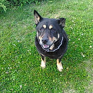 Princesse a rejoint le concours — aidez-le/la à gagner de superbes lots !