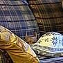 Bruno joined the competition — help win amazing prizes! dog, couch, blanket, pillow, plaid, cozy, pet, indoor, furniture, resting, small_dog, brown_dog, hidden, ears, comfort, snug, home, relaxed, pattern, soft