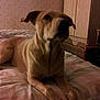 Samantha is registered to the contest to win money with this photo: