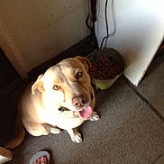 Samantha is registered to the contest to win money with this photo:
